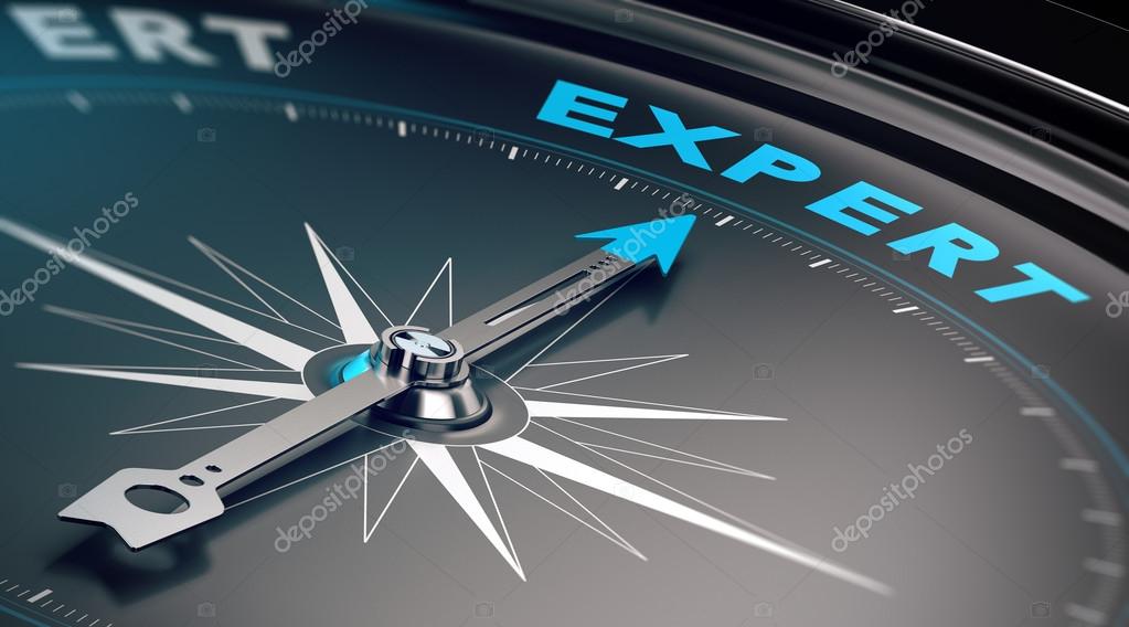 Consultant expert accompagnant un chef de projet